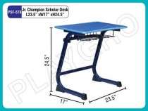 Jr Champion Scholar Desk