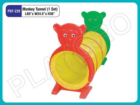 Monkey Tunnel in Delhi